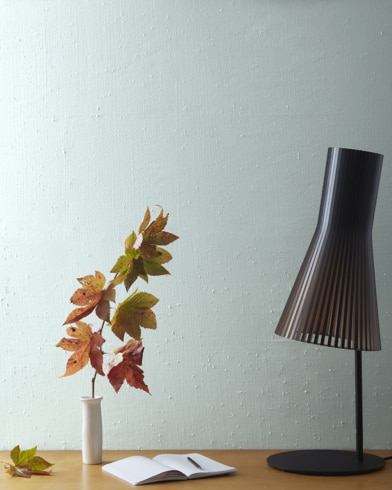 Painted wall with Ocean Air 2123-50