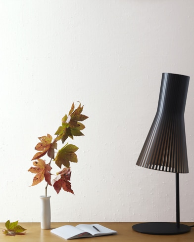 Painted wall with Ice Mist 2123-70