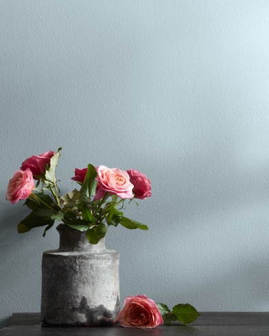 Painted wall with Mt. Rainier Gray 2129-60