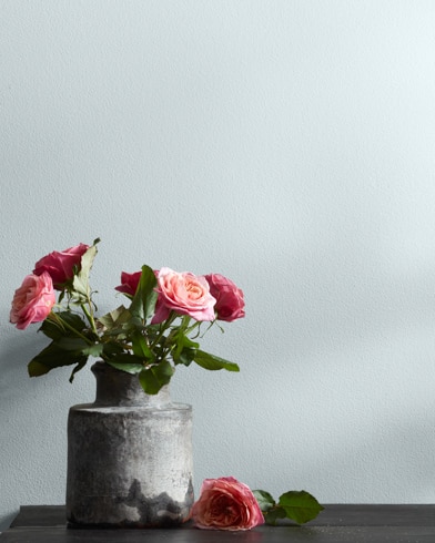 Painted wall with Silver Cloud 2129-70