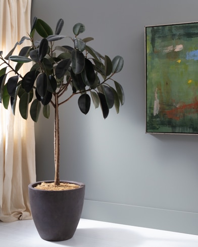 Painted wall with Pigeon Gray 2133-50