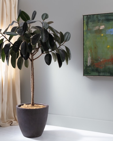 Painted wall with Sidewalk Gray 2133-60