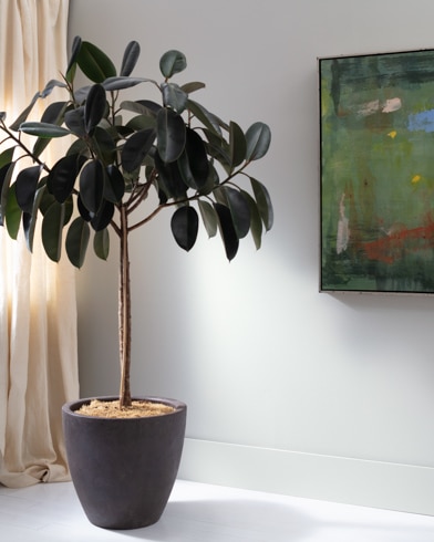 Painted wall with Tundra 2133-70