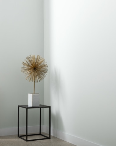 Painted wall with Genesis White 2134-70