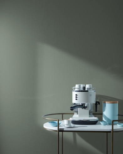 Painted wall with Carolina Gull 2138-40