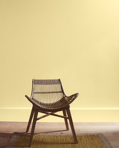 A modern rattan chair with a curved seat sits in front of a Valley View-painted wall.