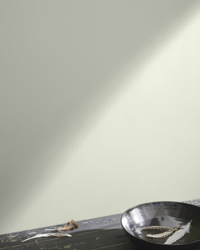 Painted wall with Silken Pine 2144-50