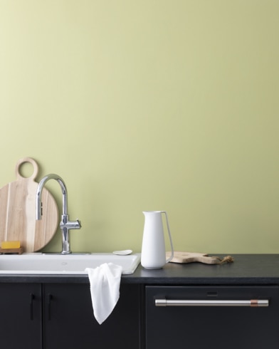 Painted wall with Fernwood Green 2145-40