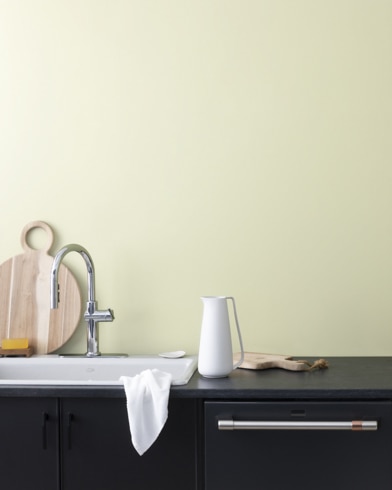 Painted wall with Limesicle 2145-50