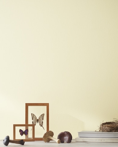 Painted wall with White Marigold 2149-60