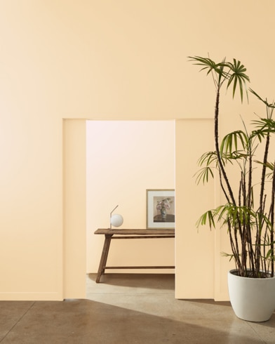 A ceramic potter with a palm tree stands at the entryway of multiple rooms painted Oklahoma Wheat.