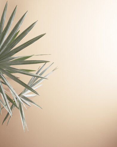 Painted walls with Hazelnut Cream 2161-60