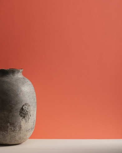 Painted wall with Adobe Orange 2171-30