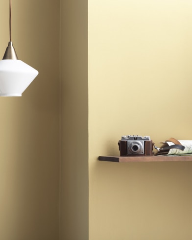 Painted walls with Golden Garden 221