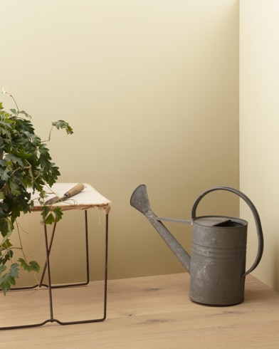 Painted walls with Twisted Oak Path 226