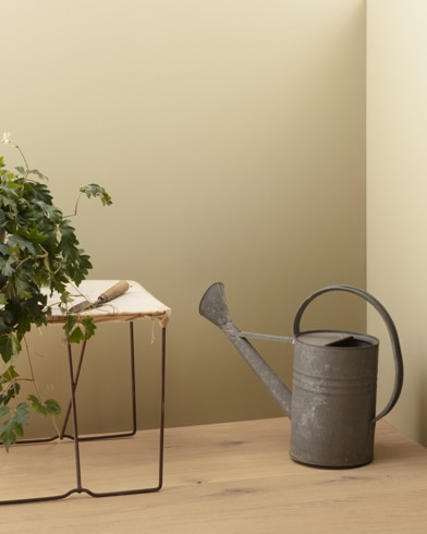 Painted walls with Marble Canyon 227