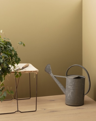 Painted walls with Grenada Hills Gold 229