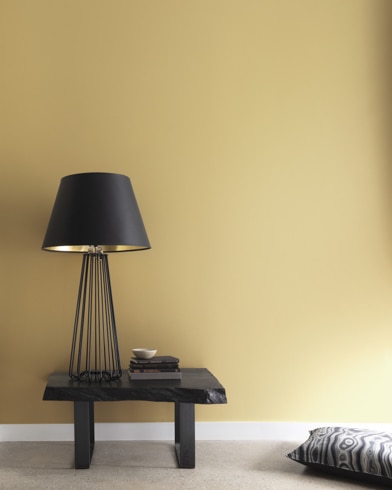 Painted walls with Westwood Tan 256