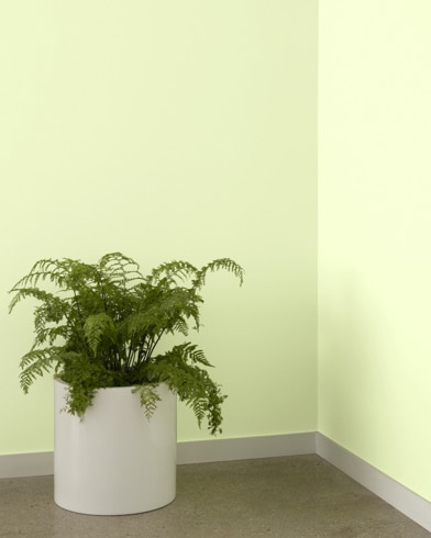 Painted wall with Polar Lights 400