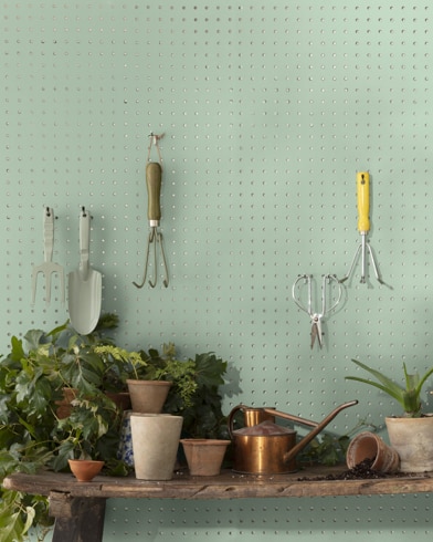 Painted wall with Pine Forest 451