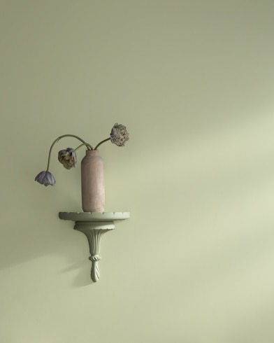 Painted wall with Mesquite 501