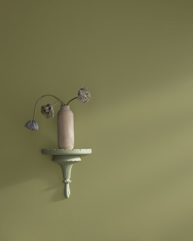 Nature’s Reflection