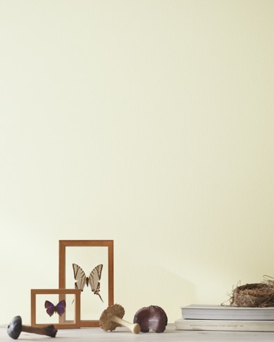 Painted wall with Olivetint 519