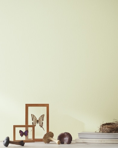 Painted wall with Spring Bud 520