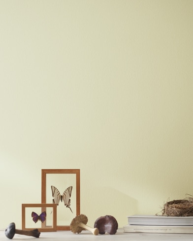 Painted wall with Nantucket Breeze 521