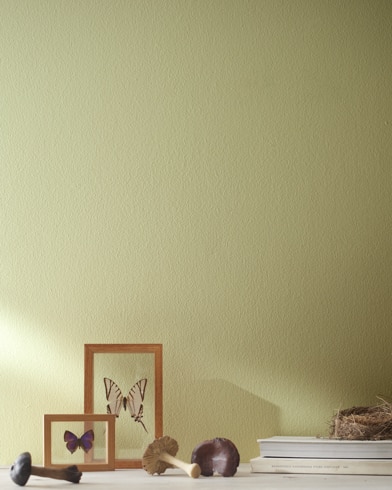 Painted wall with Ivy Lane 523