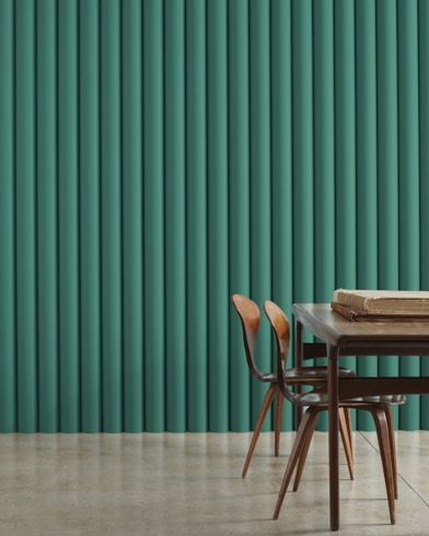 Brazilian Rainforest