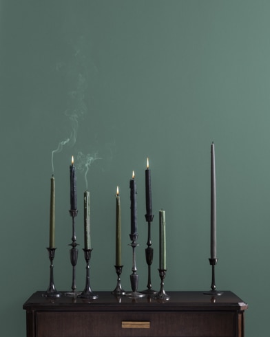 Painted wall with Jack Pine 692