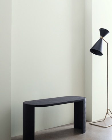 Painted wall with Pearl Gray 863