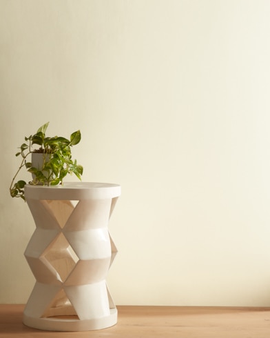 Painted wall with White Swan 927