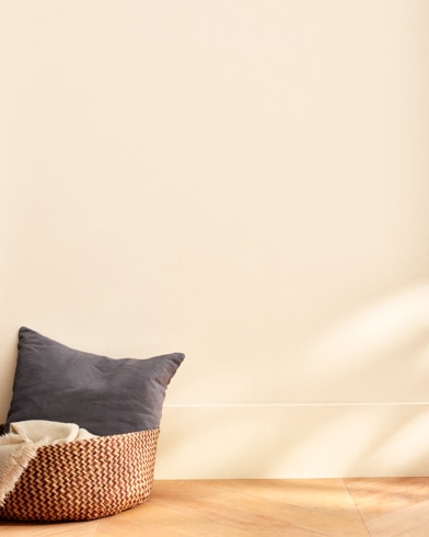 Painted wall with Sandy Beaches 946