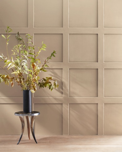 Painted walls with Interlude AF-135