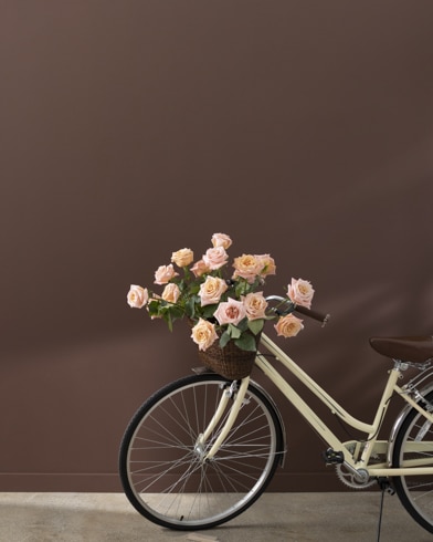 Painted walls with Barista AF-175