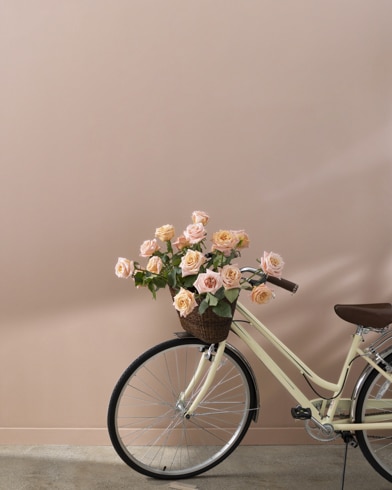 Painted walls with Venetian Portico AF-185