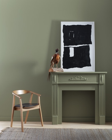 Painted wall with Jojoba AF-460