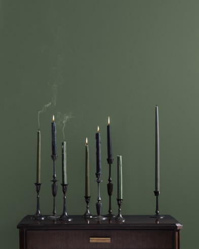 Painted wall with Boreal Forest AF-480