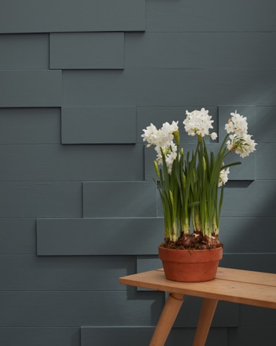 Painted wall with Flint AF-560