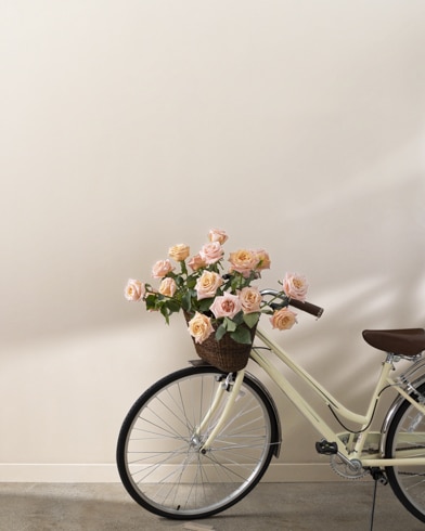 Painted walls with Peau de Soie AF-60