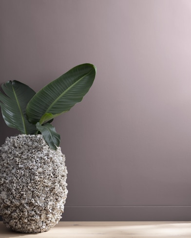 Painted wall with Kasbah AF-640