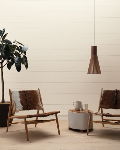 Painted wall with Fossil AF-65