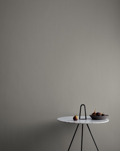 Painted wall with Dolphin AF-715