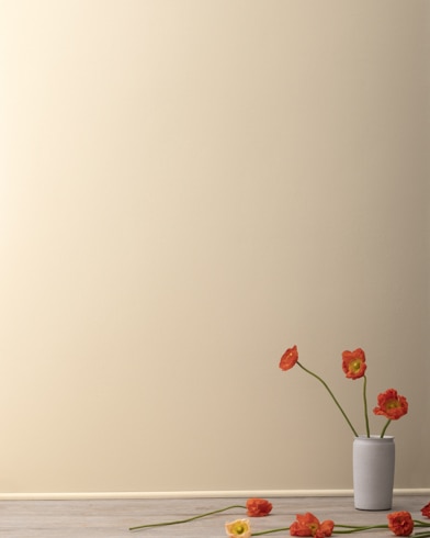 Painted walls with Harmony AF-90