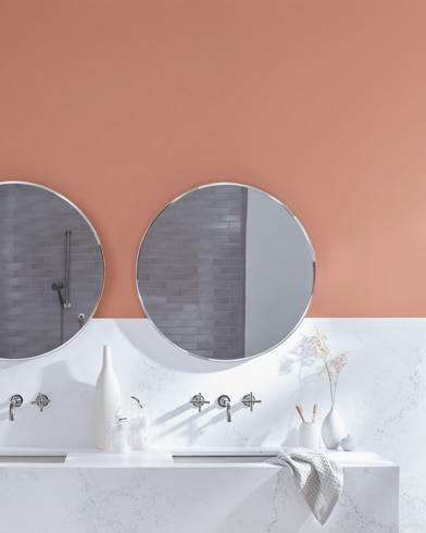 Painted wall with Smoked Salmon CC-154