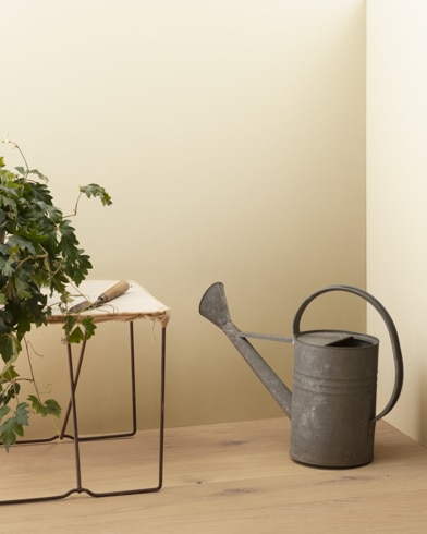 Painted walls with Wheat Sheaf CC-220