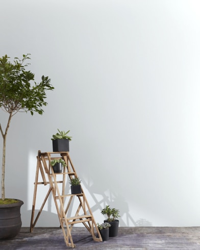 Painted wall with Whirlpool CC-910