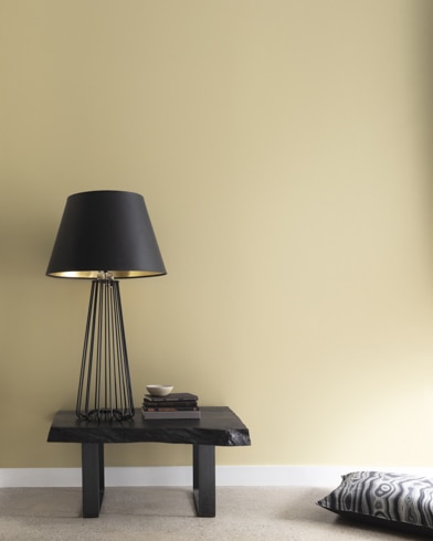 Painted walls with Garden Stone CSP-1000